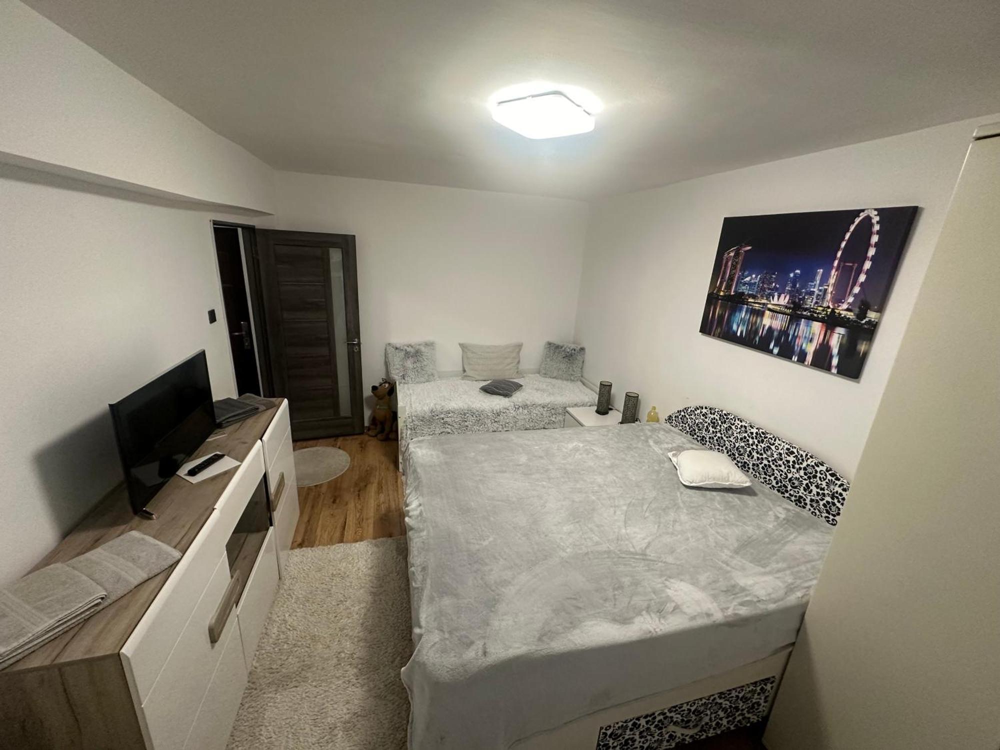 Ene Apart Oradea Free Parking Екстериор снимка